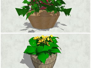 精品陶罐花卉綠植景觀小品花缽SU模型設計圖下載與植物景觀庫應用指南